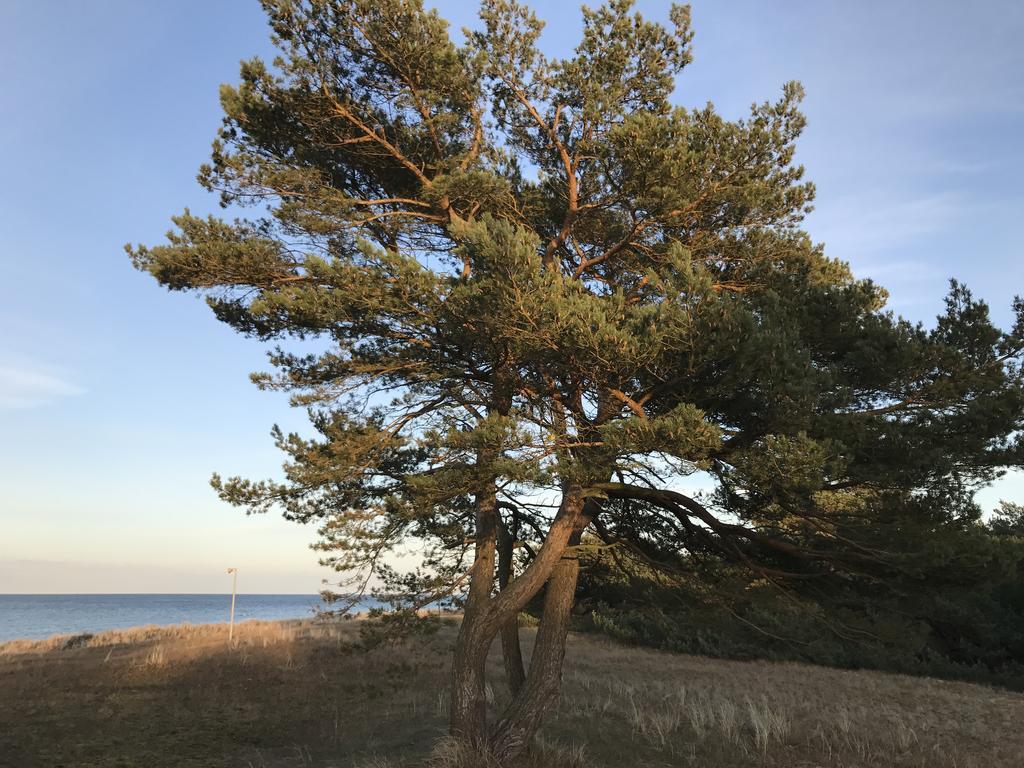 Zum Nordstrand Prerow Luaran gambar